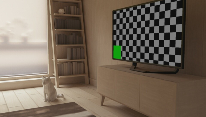 Developer developerv